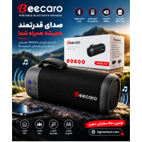 اسپیکر شارژی و بلوتوثی بیکارو Beecaro GF401