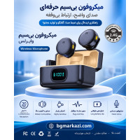 میکروفون RJ-DOUBLE DORA